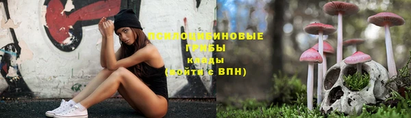 амф Горно-Алтайск