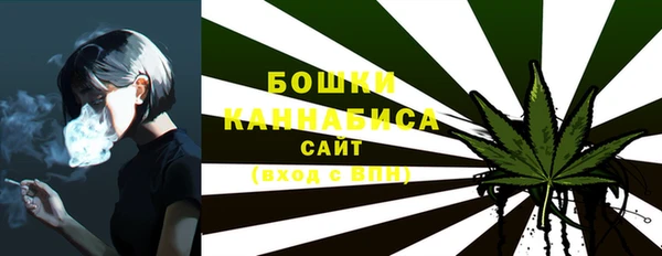a pvp Горняк